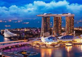 威廉体育2024最新版